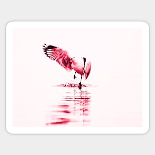 Seagull skipping across water in monochrome red on white in illustrative style Sticker